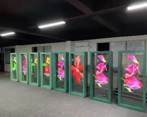 How to Maintain and Care for Transparent OLED Screens?